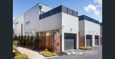 Tranquil Location & Lifestyle - Photo 5