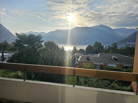 3.5 locali con splendida vista lago - Foto 4