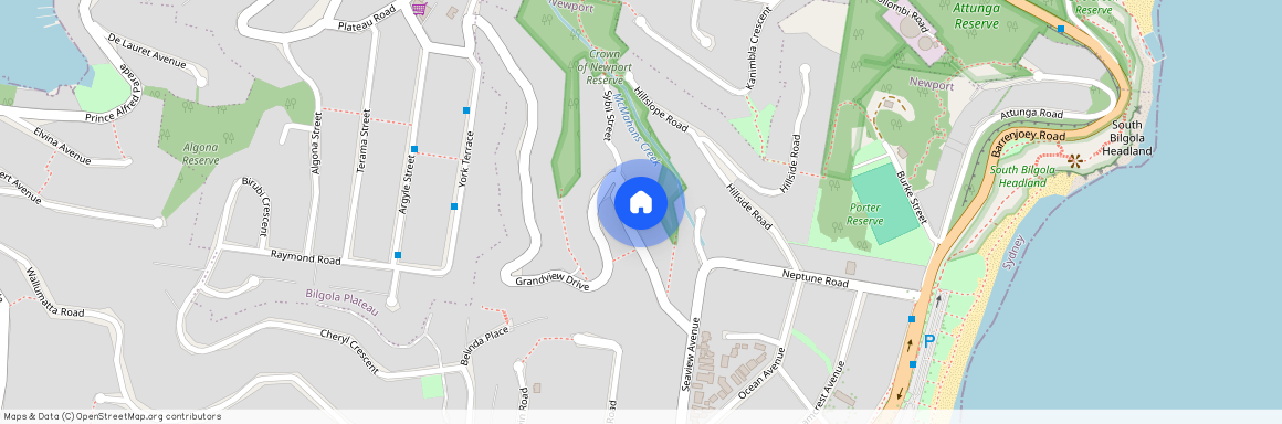 20 Grandview Drive, Newport NSW 2106