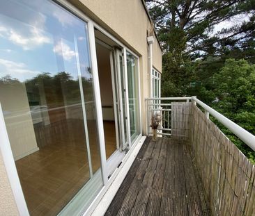 Branksome Wood Road, Bournemouth, - Photo 6
