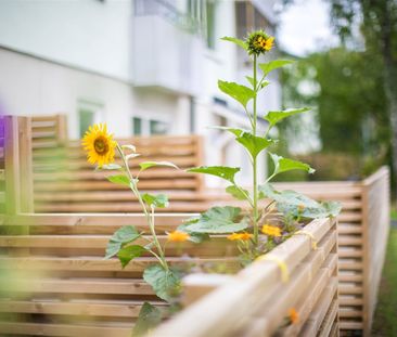 Oddergatan 36 C - Foto 2