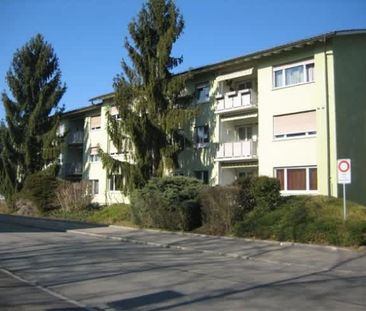 3.5 Zimmer, EG - Photo 5