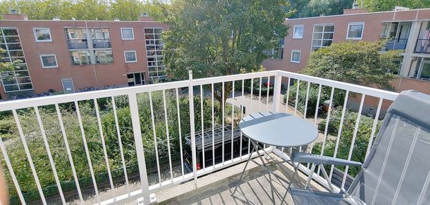 Rupelmonde 37 - Foto 1