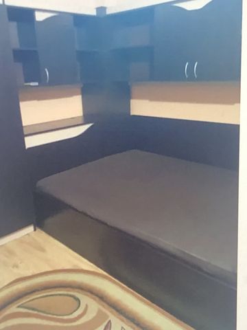 Dimtrie leonida demisol drumul fermei - Fotografie 2