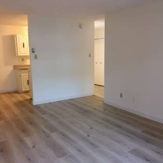 1 bedroom 1 bathroom beautiful cozy apartment for rent Burnaby - Photo 3