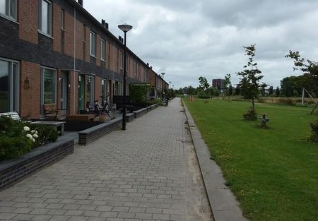 Boomvalk 19 - Photo 5