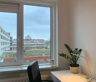 Te huur: Kamer Franselaan in Rotterdam - Foto 1