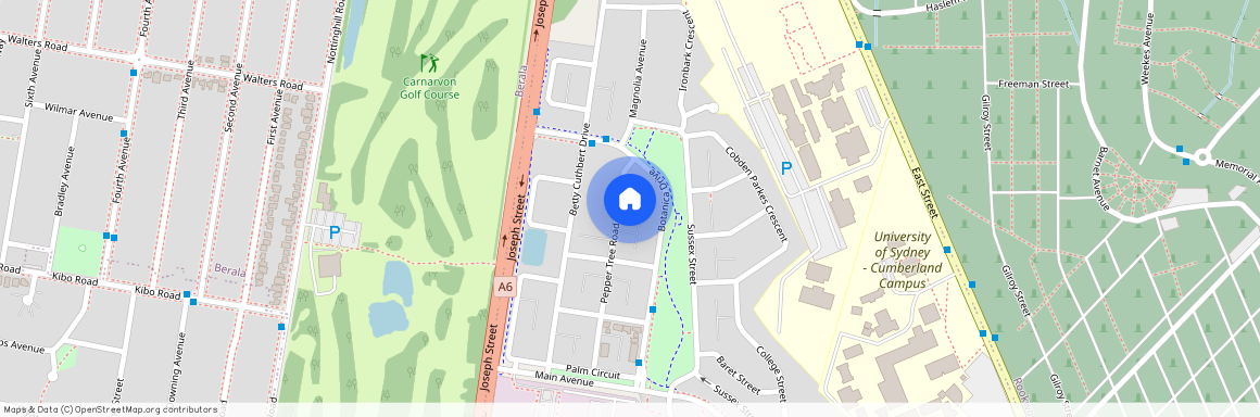 38A Pepper Tree Road, Lidcombe NSW 2141