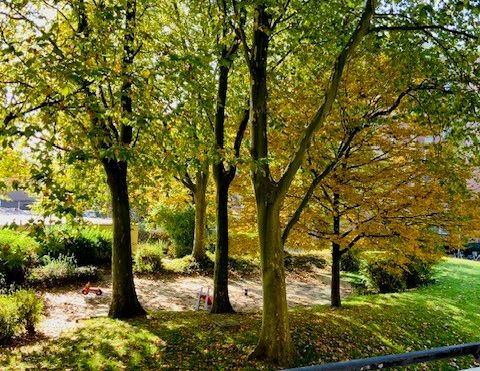Jetzt schnell sein! Wundervolle 2-Zimmer-Wohnung mit Balkon - Foto 1