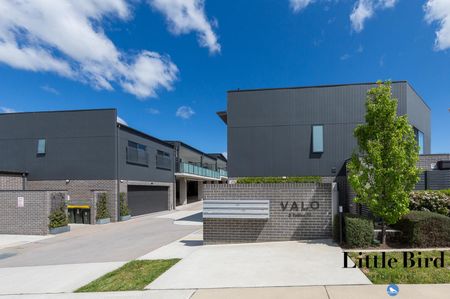 3/2 Telfer St, Coombs ACT 2611 - Townhouse For Rent | Domain - Photo 4
