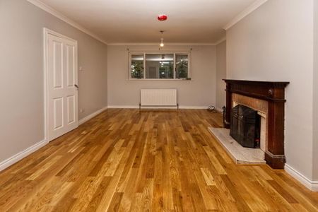 75 Hillside Road, Ballynahinch, BT24 8UL - Photo 3