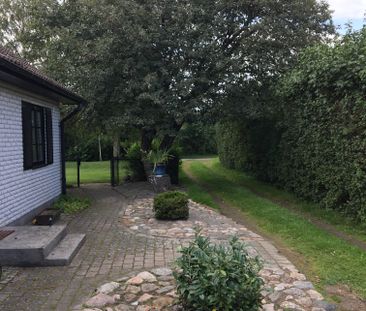 Torgasträdet, Yngsjö - Photo 5