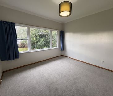 17 Howard Road, Taradale - Photo 5
