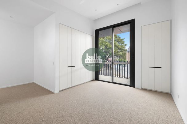 Another Successful Result By David Ibanez! - Photo 1