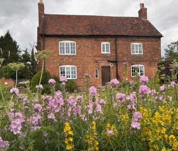 4 bedroom farm house to rent - Photo 5