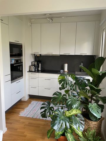 Rundelsgatan, Malmö - Foto 4