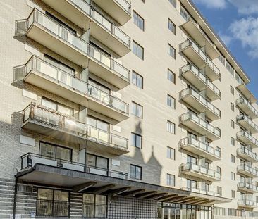 IMMEUBLE PROFESSIONEL - PLATEAU / CENTRE-VILLE/ PARC DU MONT-ROYAL - Photo 6