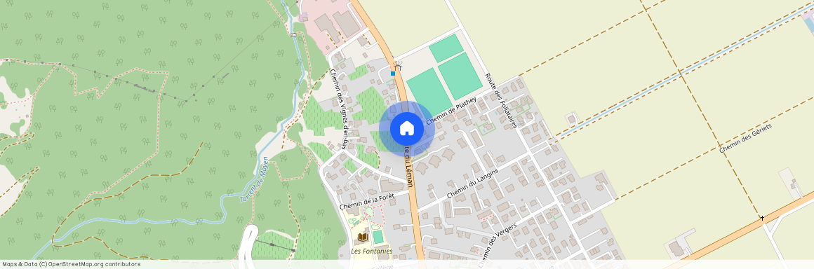 1895, Vionnaz, Route Du Léman