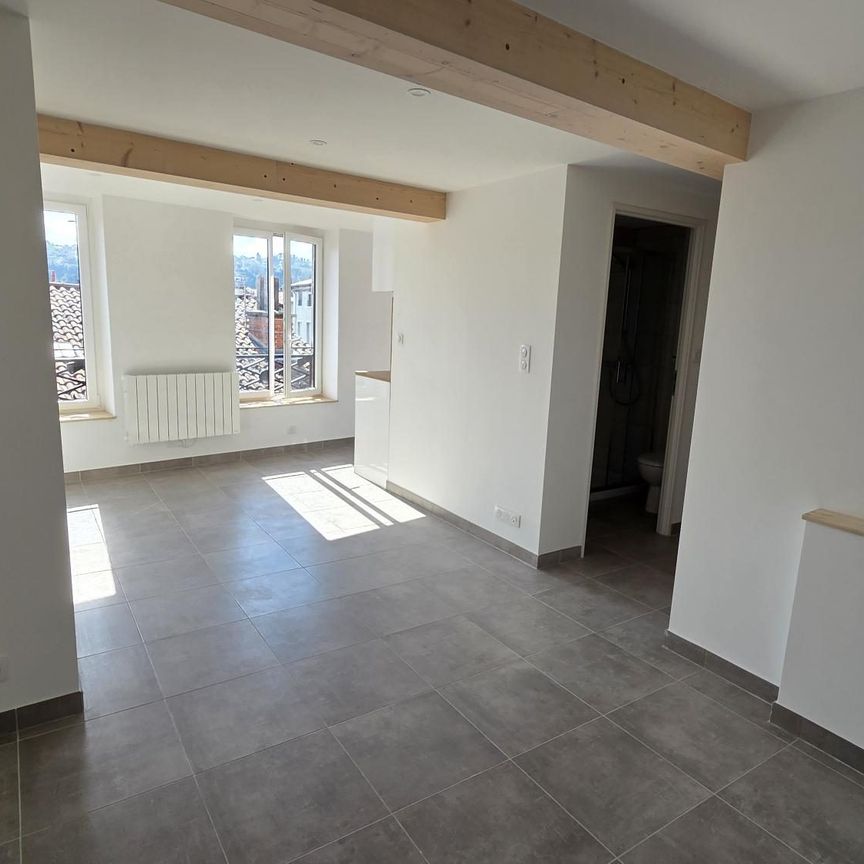 Location Appartement 1 pièce 27m² VIENNE 38200 - Photo 1