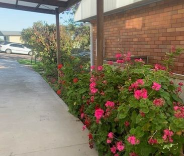 Neat & Tidy 1 Bedroom Unit in Sought After Speers Point - Photo 4