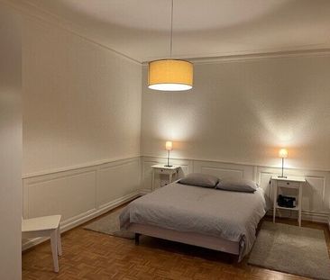 Beautiful furnished 3-room apartment in Carouge (Geneva) - Photo 3