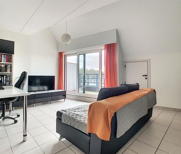 Rustig wonen in de nabijheid van Leuven Centrum - Foto 4