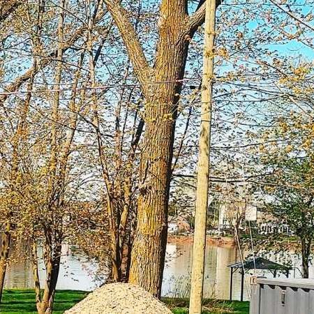 Maison TOUT COMPRIS vue sur le Richelieu/ TRANQUILLE + Très Grand 2260 PC LIBRE DECEMBRE a St Mathias ( près de Chambly et St Hilaire ) A VOIR - Photo 4