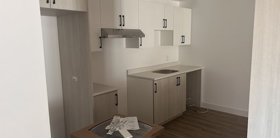 5 1/2 Refait à Neuf - Photo 2