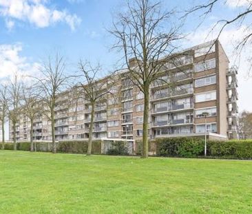 Hobokenstraat 4826 Breda - Photo 4