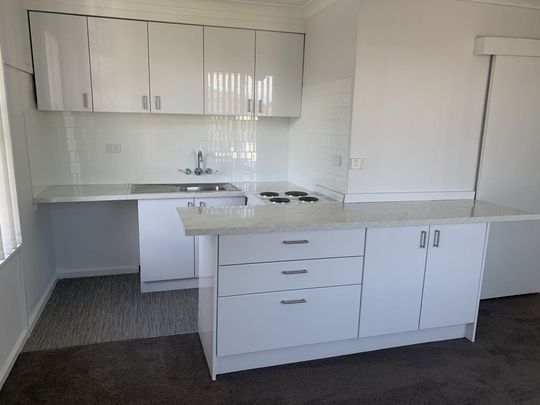 Fully Renovated One Bedroom Unit With Parking - Photo 1