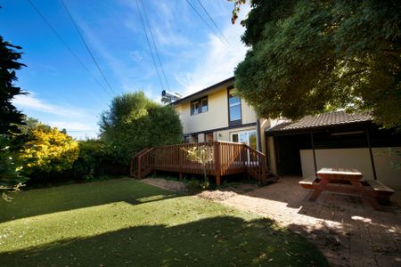 Cosmopolitan Living - Photo 4