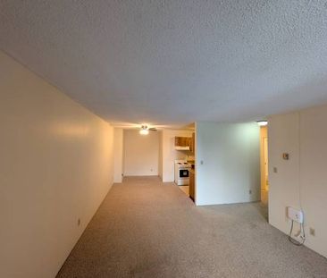 ✨ Hidden Gem – Spacious 1-Bedroom + Den ✨ - Photo 2