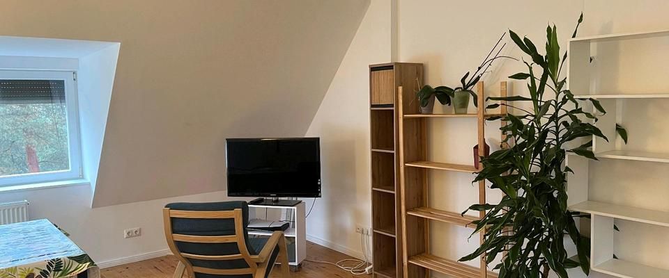 Helles, möbliertes Studio mit separater Küche & Dachterasse - Foto 1