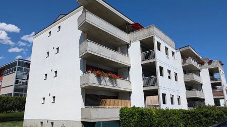 2.5 Zimmer - Photo 2