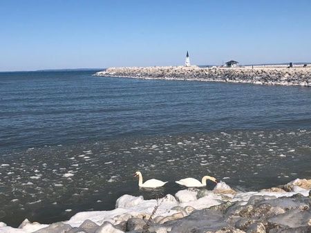 For Lease - 639 Johnston Park Avenue, Collingwood, Ontario - Photo 4