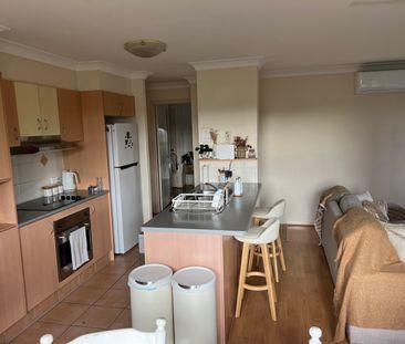 Palm Beach - Photo 6