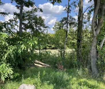 Gartenidyll beim Marchfelder Kanal - Foto 2