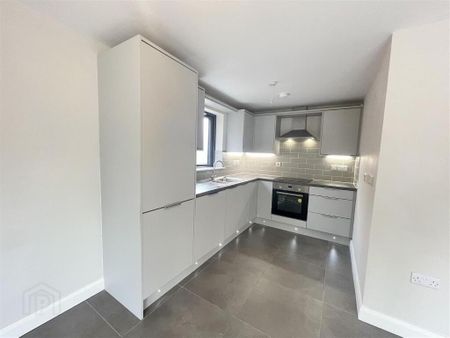 Apt 3, 1a Utility Street, Belfast, BT12 5JS - Photo 4