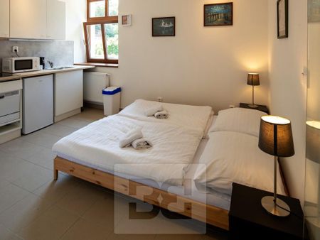 Pronájem bytu 1+kk 17 m2 - Fotografie 3