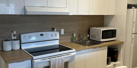 Studio Neuf Semi-meublé Ou Tout Meublé - Photo 3