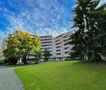 Saniert, modern, einladend - Ihr neues Zuhause in Horw - Foto 3