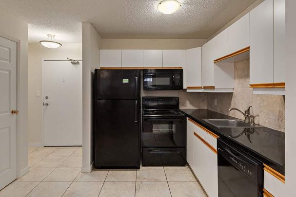 Renovated Suite - 1 Bedroom - Photo 1