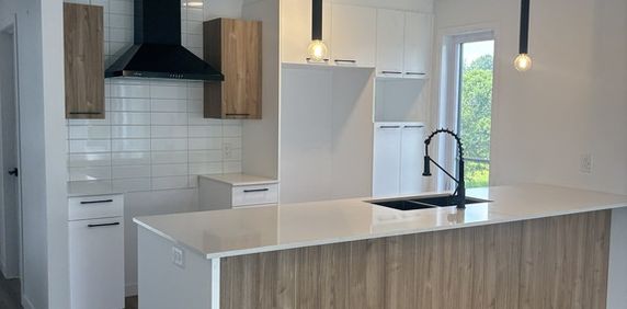 MAGNIFIQUES 4½ | CONSTRUCTION RÉCENTE - Photo 2