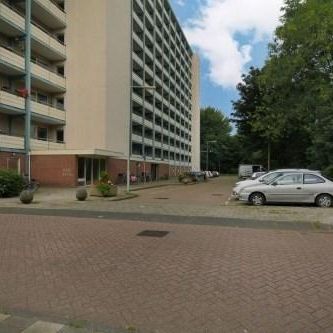 Jisperveldstraat 0ong, 1024 Amsterdam, Nederland - Photo 2