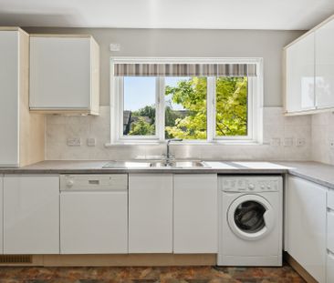 Annfield Gardens - Photo 4