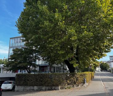Charmante 3-Zimmer-Wohnung an der Seidenstrasse in Brugg - Photo 2