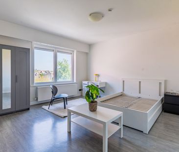 Gerenoveerde studentenkamers & studio’s - Foto 2