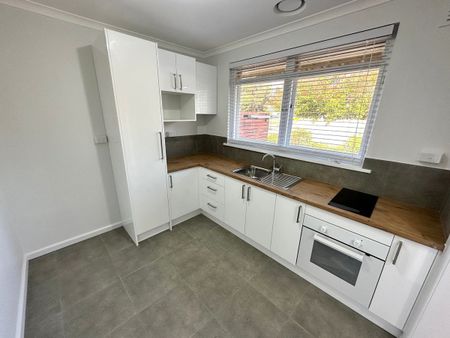 Renovated Unit - Photo 3