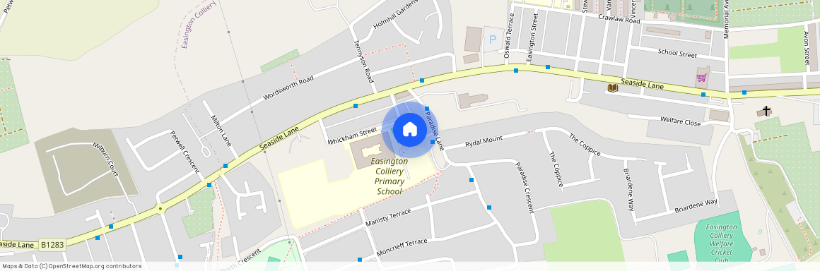St Nicholas Terrace, Easington, County Durham, SR8