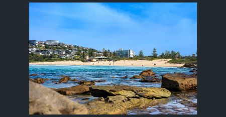 Quiet, Convenient and Full of Natural Light - Photo 4